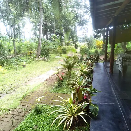 Sigiriya Hillside View Villa Экстерьер фото