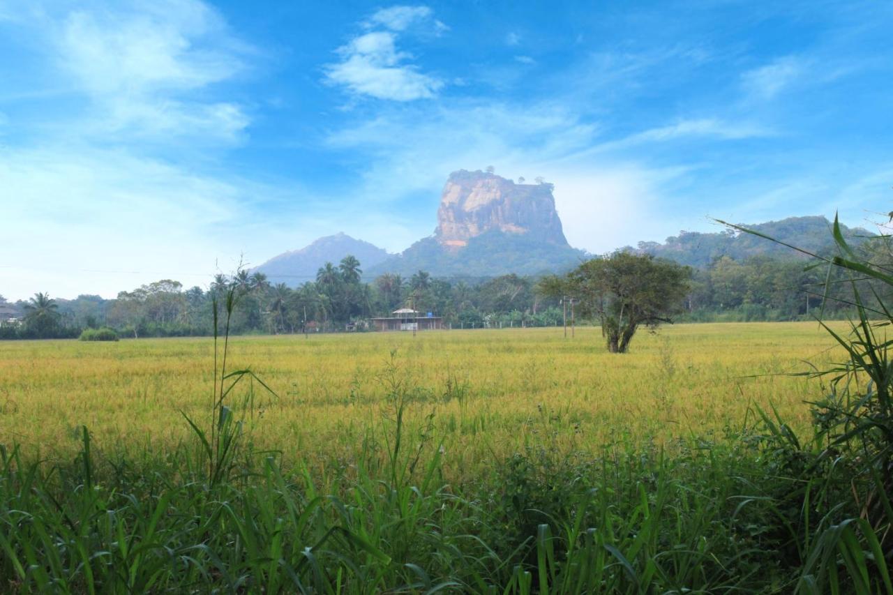 Деревянный коттедж Hillside View